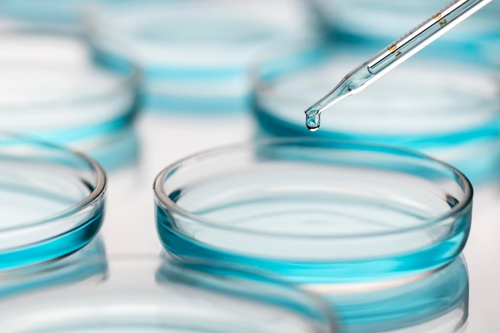 petri dishes in a medical lab with a dropper