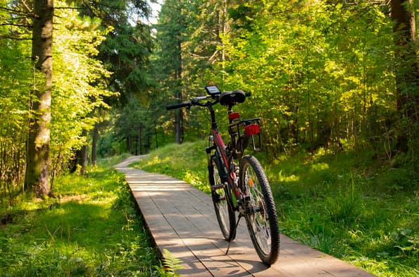 Sports Lifestyle: A Path to Health, Discipline, and Fulfillment